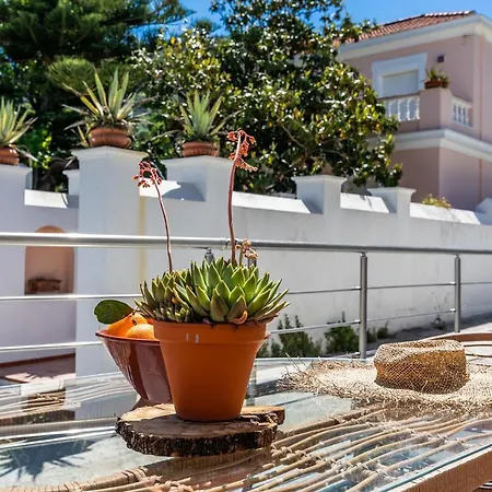 Sea Senses Apartment
